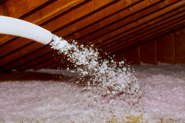 Best Eco-Friendly Insulation in Evergreen, CO