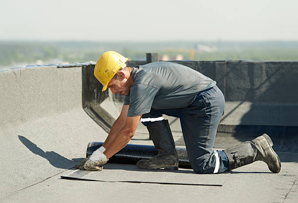 Best Geographic-Specific Insulation Services in Evergreen, CO