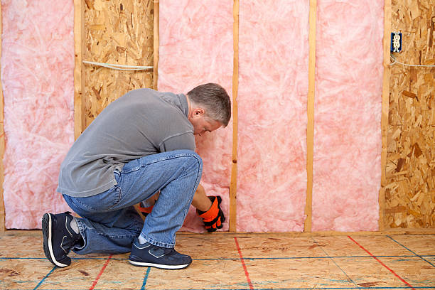 Best Specialized Insulation Services in Evergreen, CO