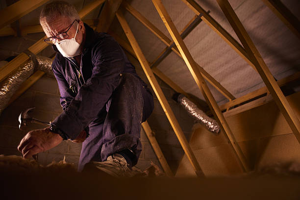 Types of Insulation We Offer in Evergreen, CO